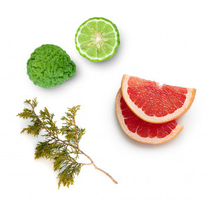 refreshing body wash doTERRA