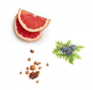 Mască_detoxifiantă_cu_nămol_doTERRA