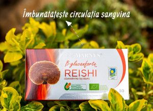 Reishi-Ganoderma-lucidum-–-Imunitate