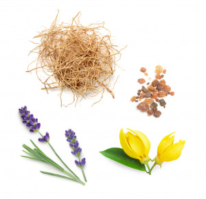 peace ulei esential doTERRA