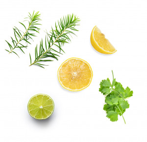 Ulei Esential doTERRA purify 15ml