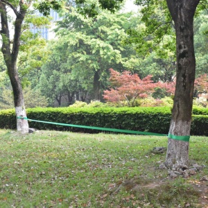Coardă echilibru, 15 m x 50 mm, 150 kg, verde - Img 2