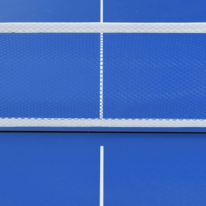Masă de ping pong cu fileu, albastru, 152 x 76 x 66 cm - Img 2