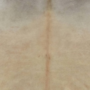 Covor din piele de vacă naturală, bej, 150 x 170 cm - Img 3
