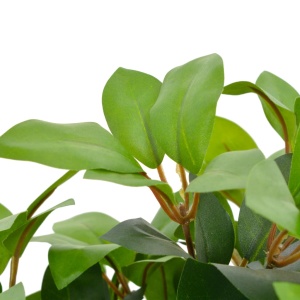 Plantă artificială dafin cu ghiveci, verde, 40 cm - Img 2
