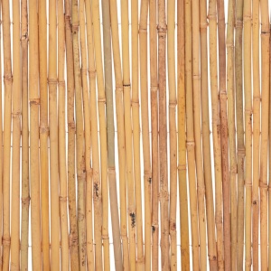 Gard din bambus, 500 x 30 cm - Img 6