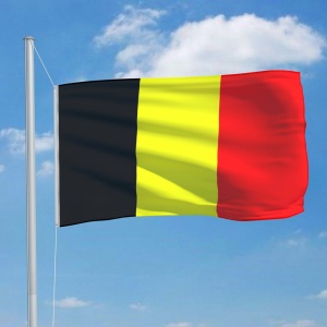 Steag Belgia, 90 x 150 cm - Img 3