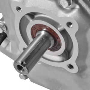 Motor pe benzină 4,8 kW Negru - Img 5
