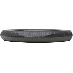 Plăci de greutate 4 buc, 2 x 10 kg + 2 x 5 kg, fontă - Img 5