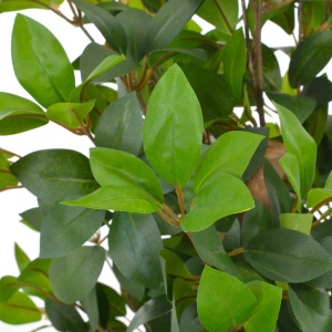 Plantă artificială dafin cu ghiveci, verde, 150 cm - Img 2