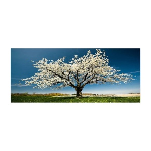 Wallxpert tablou decorativ canvas, 50x120 cm, panza 100%, cadru lemn 100% grosime 3 cm, format panoramic, multicolor - Verificat A · Re-Bloom