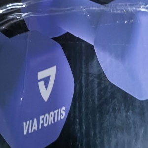 Set 2 gantere VIA FORTIS, 2x4 Kg, premium, din fonta cu invelis din neopren, Resigilat, Grad A - Img 4