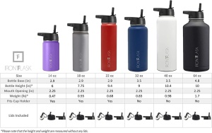Set 2 Sticle termice 950 & 650 ml, otel inoxidabil IRON °FLASK, 3 capace, rece 24 ore / cald 12 ore, izolata, roz/albastru deschis, fara BPA - Img 10