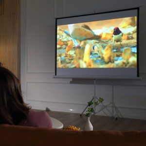 Ecran proiectie 4K HD cu stativ 171x128 cm, 84 inch, format 4:3, reglabil, tesatura/metal, alb - Verificat A · Re-Bloom - Img 4