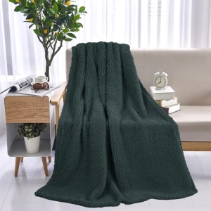 Patura catifelata teddy fleece, 150x200 cm, 100% poliester, 210gsm, Menta, Resigilat, Grad A - Img 2