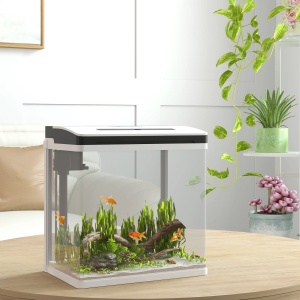 Acvariu 13L 29x20x30.5 cm, sticla HD 4mm, LED gradient reglabil 4.5W, filtru tip dus, pompa 2.5W, capac alb/transparent - Verificat A · Re-Bloom - Img 2