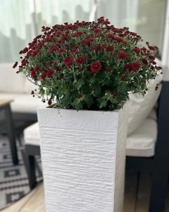 Produs Resigilat Ghiveci patrat Re-Bloom Dion, argila fibroasa/fibra sticla, 26x26x60 cm, 33L, 7 kg, orificiu drenaj, bej deschis - Verificat A - Img 3