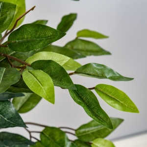 Ficus artificial Re-Bloom, PEVA/PE/ciment, inaltime 150 cm, vas diametru 17x14.5 cm, intretinere redusa, verde/maro - Verificat A · Re-Bloom - Img 4