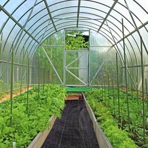 Plasa impotriva buruienilor LGJIAOJIAO, tesatura, negru, 2 x 5 m - Img 3