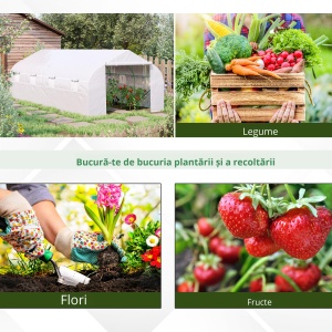 Sera tunel pentru gradina 6x3x2m, otel galvanizat Ø18mm/PE 140g/m², 8 ferestre 45x38cm, usa rulanta, alb - Verificat A · Re-Bloom - Img 6