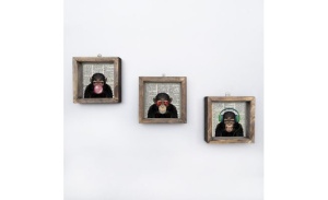 Set tablouri decorative Re-Bloom, 3 piese, MDF/lemn masiv, maro, 15 x 15 cm - Img 3