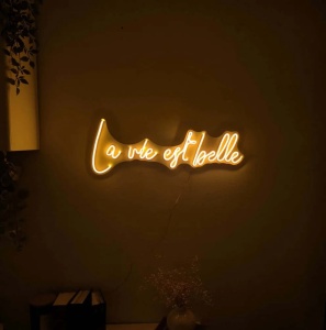 Decor de perete Re-Bloom, La Vie Est Belle, LED, PVC, portocaliu, 62 x 2 x 22 cm - Img 5