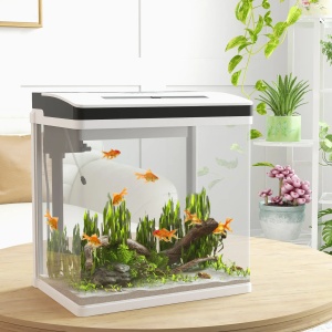 Acvariu 28L 38x26x38 cm, sticla HD 4mm, LED gradient reglabil 4.5W, filtru ploaie, pompa silentioasa 2.5W, capac alb/transparent - Verificat A · Re-Bloom - Img 2