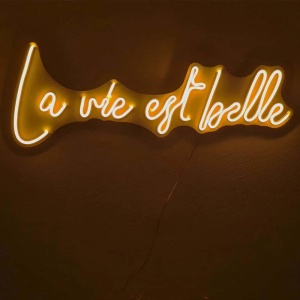 Decor de perete Re-Bloom, La Vie Est Belle, LED, PVC, portocaliu, 62 x 2 x 22 cm - Img 2