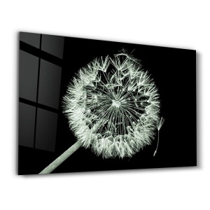 Tablou decorativ Re-Bloom, model papadie, sticla securizata, negru/alb, 46 x 72 cm