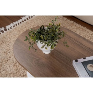 Masuta de cafea Re-Bloom, PAL, alb/nuc, 119 x 60 x 40 cm, Resigilat, Grad A - Img 3