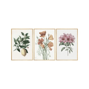 Set tablouri decorative Re-Bloom, 3 piese, model floral, MDF/lemn masiv, multicolor, 50 x 35 cm - Img 1