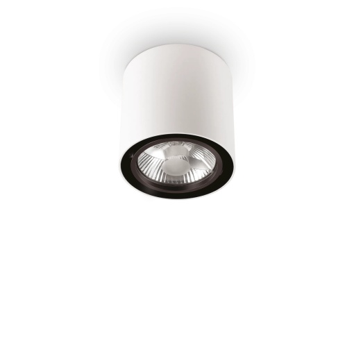 SPOT MOOD PL1 D15 ROUND, ALB, DIN METAL, STIL MODERN