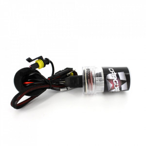 Bec Xenon H8-6000K - CARGUARD - Img 2