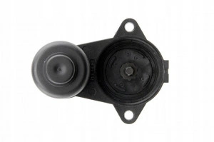 Motoras Etrier Frana de Mana 6 Torx Audi A6 C6 - Img 3