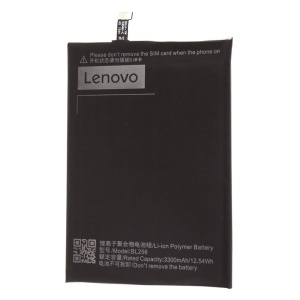 Acumulator Lenovo BL256