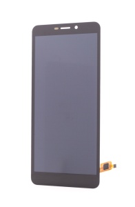 LCD Nokia C100