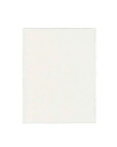 Adeziv OCA Optical - iPad Air 4 (2020) A2316, A2324, A2325, A2072 (Min. 5 buc.)