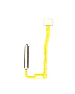Flex Fingerprint Motorola Moto G Stylus (2021), Aurora White, disponibil pe thenx.net