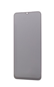 LCD Samsung Galaxy M33 M336B