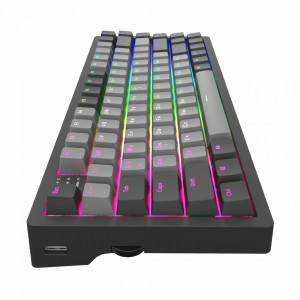 Tastatura Gaming Mecanica Dark Project KD83A