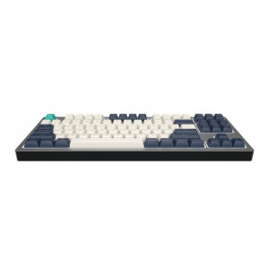 Tastatura Gaming Mecanica Dark Project / KD87B LTD