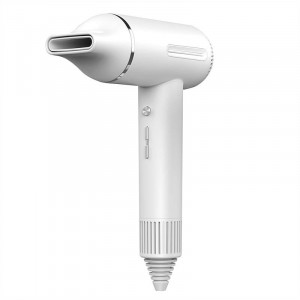 Uscator de par cu ionizare inFace ZH-09GW