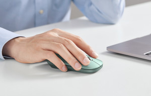 Mouse wireless