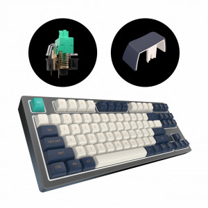 Tastatura Gaming Mecanica Dark Project / KD87B LTD