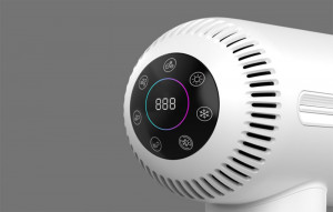 Uscator de par cu ionizare inFace ZH-09GW