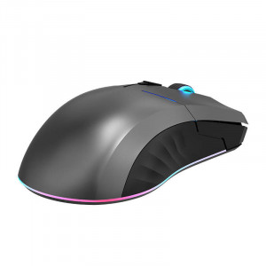 Mouse wireless gaming Thunderobot Dual-Mode RGB 16000 DPI