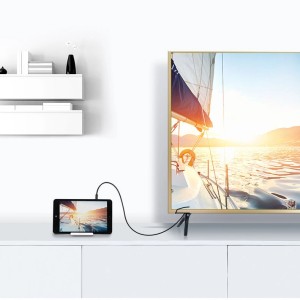 Adaptor HDMI Mini/Micro la HDMI UGREEN 20144 (negru)