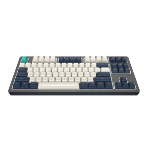 Tastatura Gaming Mecanica Dark Project / KD87B LTD