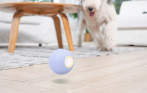 Jucarie Caine Minge Interactiva Pentru Animale de Companie Cheerble Ball PE (violet) C0722
