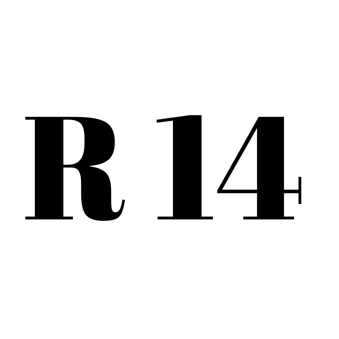 AUDI R14